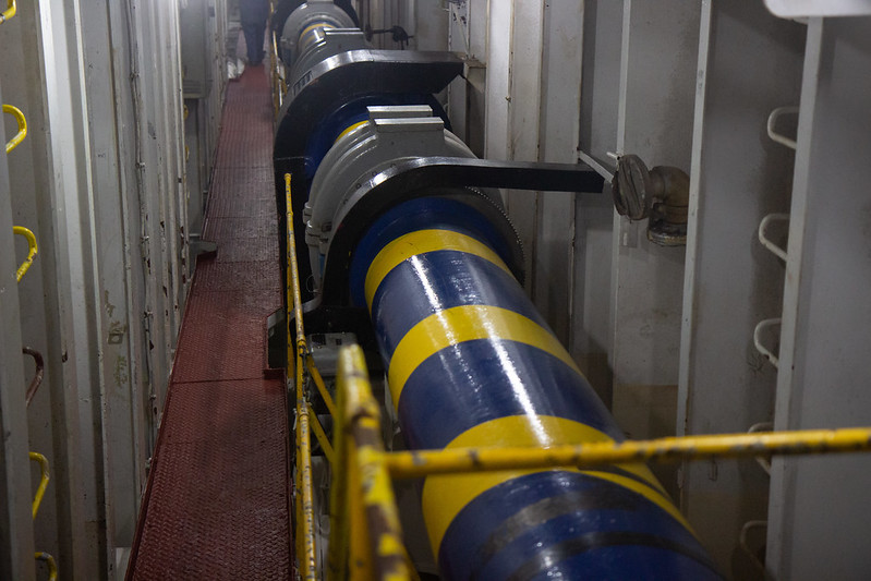 Little Buc's Video Vault Two Videos Of Shaft Alley (2008 and 2012